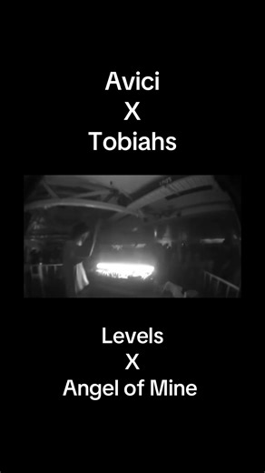 Angel Of Mine and Levels Mashup Remix