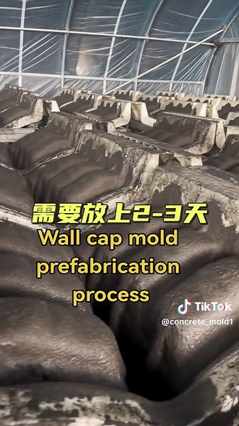 One-piece wind and rainproof!Prefabricated cement wall cap mold to improve the durability and safety of the wall #Wall cap mold#Wall renovation# prefabricated component mold