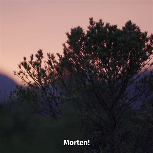 108K views · 430 reactions | In honor of #EarthDay - why not grab a friend and go explore nature together! | Visit Norway | Facebook