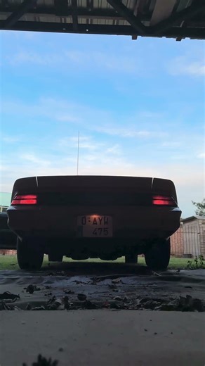 1981 Camaro Z28 | reving after a long drive #camaro #z28 #camaroz28 #chevrolet