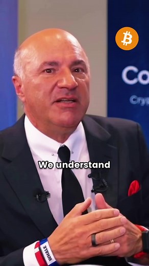 Mr. Wonderful on TikTok