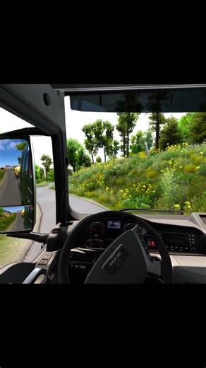 Realistic Graphics in ETS2 is shocking😮 #shorts #ets2 #eurotrucksimulator2 #ets2mods