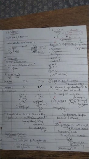 cell cycle and cell division short notes for neet 2026