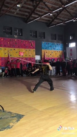 Explore the Kirin Whip in Traditional Wushu