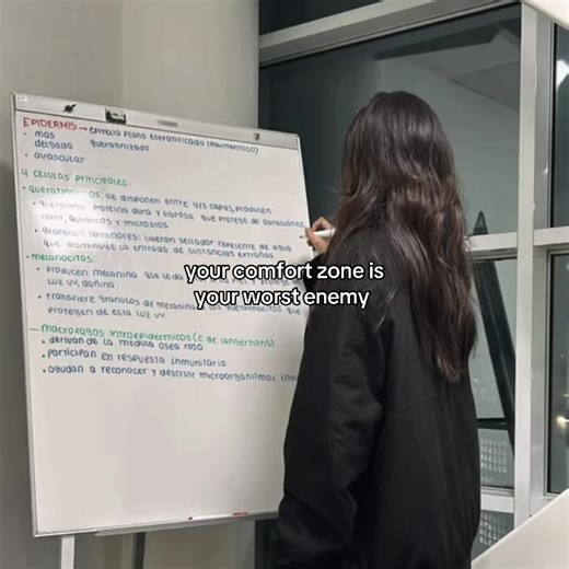 Toxic Study Motivation and Comfort Zones