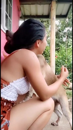 Affectionate Moments with a Friendly Dog