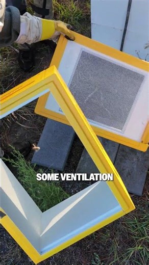 Why do Beekeepers elevate their Bee Boxes?
