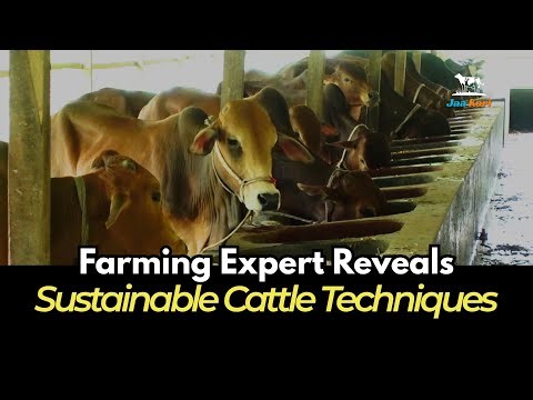 Top Organic Farming Expert Reveals Sustainable Cattle Techniques