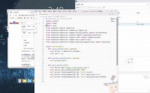 【编程3分钟】Selenium使用实例