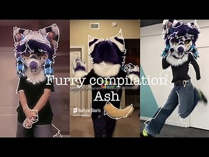 Furry comp