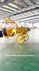Full closed Cinderella pumpkin carriage for a princess #carriagehorse #horsechariot #chariot #fairytalewedding #scenicspots #amusementpark #cinderellacarriage #pumpkincarriage #pumpkincarriage南瓜馬車 #horsedrawncarriage | Hengyisheng Vehicle