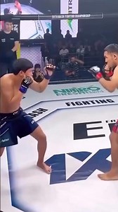 UFC Knock Out Compilation