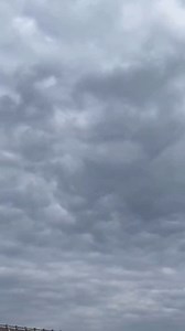 1.4K views · 2.3K reactions |  Vlad Fildan, a passionate fancier,...