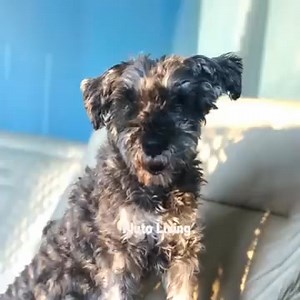 38K views · 3.7K reactions | Plutoverse friends, today is World...