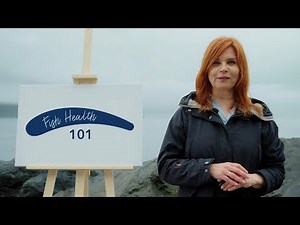 Fish Health 101 : Introduction