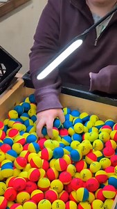 QUALITY CHECK IN FULL SWING 💥 Every. Single. Ball. Hand inspected. Locked in. Ready to fly. We don’t just sell used golf balls - we make sure they’re game-ready before they ever hit your bag. Built for bombs. Priced for stock-ups. #golf #golfseason #usedgolfballs #spring #FranksShanks | Franks Shanks
