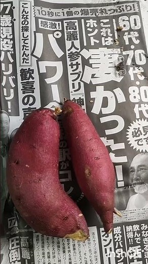 鍋と石を使って、ご家庭で本格的な石焼き芋を作ることができます。さつまいもを石から出る遠赤外線でゆっくりと加熱することで、甘さを最大限に引き出し、ほくほくとした食感に仕上がります。