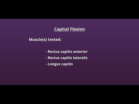 Manual Muscle Test for Capital Flexion