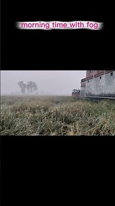 morning time with fog #vlogger #minivlog #trending