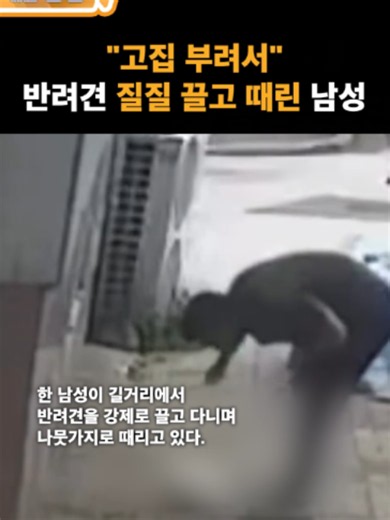 "고집 부려서" 반려견 질질 끌고 때린 남성