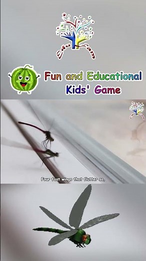 The Dragonfly Song | Fun Animal Songs for Kids | EduFam Nursery Rhymes