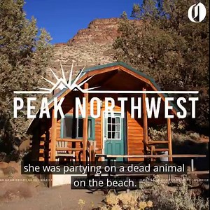 2.5K views · 23 reactions | How to camp in comfort at Oregon State Park cabins and yurts on this episode of the Peak Northwest podcast. Listen now: https://trib.al/oc9gdP1 | The Oregonian | Facebook