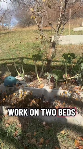 3.4K views · 133 reactions | It’s gotten busy enough at the Tiki Hut the last several years that we literally only have time to grow and sell flowers and produce.. So, that leaves me a very brief window from November 1 until the snow flies to try and finish a lot of outside projects. So here is a little video on making garden beds in our hill side. :-) | Tiki Hut | Facebook