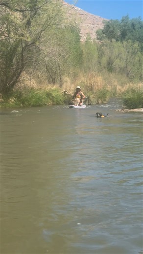 Sisu liked to swim parts of the river! | Scout's Trail