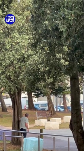 4.6M views · 20K reactions | New footage reveals the moment one of the gunmen was tackled, as witnesses hide behind the trees. #9News | 9 News | Facebook