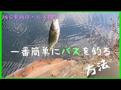 【バス釣り】【初心者向け】自分が下手だから一番簡単に釣れる方法を動画にしてみた。多分一日頑張れば大量数釣り出来ます ＃バス釣り ＃数釣り ＃2024最新