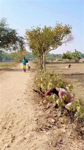 Exploring the Innovations of AI and Smart Bots