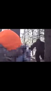 176K views · 5.9K reactions | Missing hiker tries to shoot bigfoot #paranormal #bigfoot #bigfootisreal #sasquatch #sasquatch #yeti #cryptids #cryptozoology | Alien World | Facebook