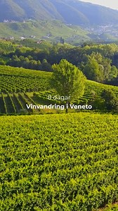 Upptäck 3 fantastiska resor till Italien👇 🚴‍♂️ Södra Gardasjön på cykel! Utforska frukträdgårdar, olivlundar och pittoreska vingårdar på slingrande vägar. Smaka på regionens bästa viner och upplev romantiken i Verona under denna 7-dagars resa. 🍷 🍇🍷 Vinvandring i Veneto! Vandra genom vingårdar och olivlundar i detta pittoreska landskap, besök medeltida städer och upplev Venedigs unika charm. Smaka på regionens berömda viner under denna 8-dagars resa. 🌸🏖️ Vandring i Ligurien och Piemonte! U