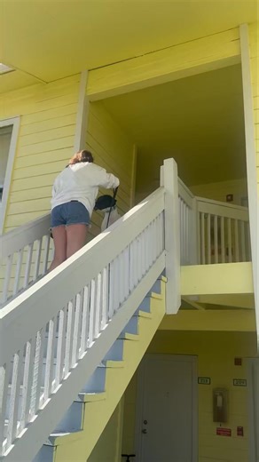 Teaching Cabo to 'Sit' at the top of the Stairs and wait for the release 'Cue'. This team is making great progress! 🙌 DogSpeak specializes in the following...⭐️ *Aggression *Reactivity *Anxiety *Noise Phobia *Separation Anxiety We also offer..... *Puppy Training Packages *Puppy Socialization Package *Obedience Training *Impulse Control and Polite Manners *Loose Leash Walking Serving Pasco, Pinellas and Hillsborough Counties.🐾 Kathy Longwell, Owner and Head Trainer DogSpeak DogTraining and Beha