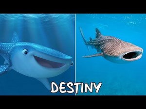 Finding Dory Characters in Real Life