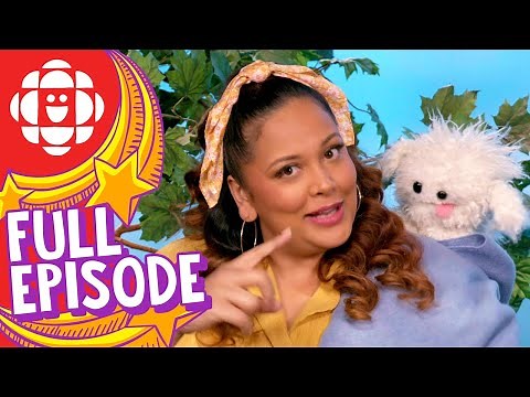 ASL Preschool Show | Making Friends (Silly Paws) | CBC Kids