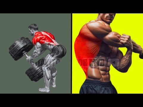 5 Best Back Exercises to Build Size and Thickness Fast