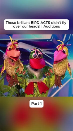 Amazing Bird Acts Audition for Britain's Got Talent