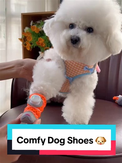 Comfy Dog Shoes 🐶 #petproducts #dogshoes #dogstore #dogproducts #dogshop