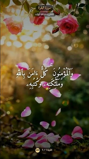 قرءان كريم بصوت الشيخ محمد ايوب