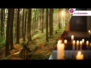 Cremation vs Burial: Which Is Cheaper & Greener? The Truth Revealed