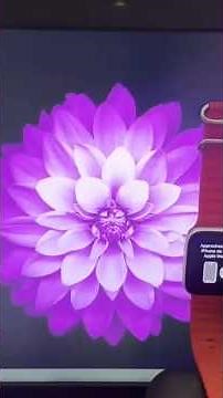 Apple Watch iCloud Bypass Fix 2026 | Activation Lock Solution