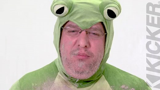 Bullfrog ® BF400 Bluetooth ® Music System