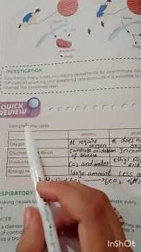 New Amazing science|Grade 7|Unit 2 Human respiratory system|Quick review solved