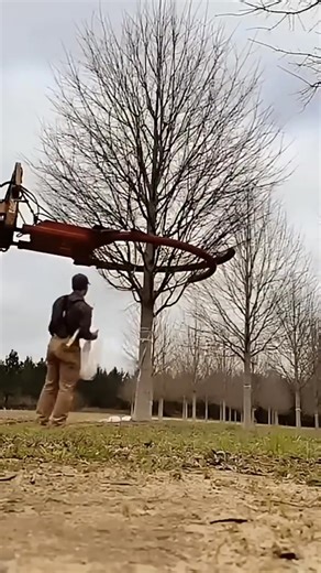 How This Machine Straightens Tree Branches! 😱❣️#shorts #ReelIt #FacebookReels #TrendingReels | STORY SPIN
