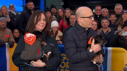 Subaru to donate $250 for every car sold or leased through Jan. 2