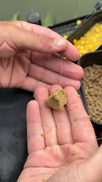 Paste Vissen Met Jeff Jacobs! 🤩🎣