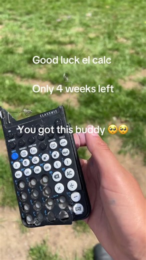 Good luck el calc — study tips for last 4 weeks before Calculus exam