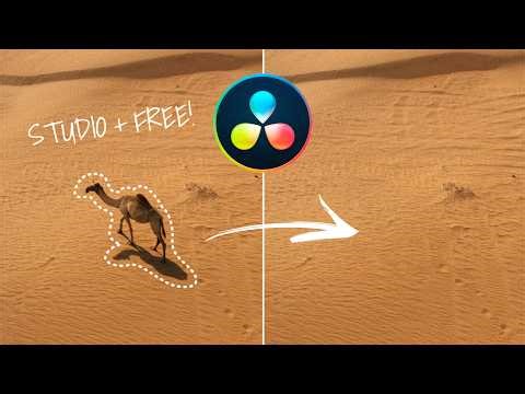 4 Ways to REMOVE OBJECTS & PEOPLE | FREE & STUDIO DaVinci Resolve Effects Tutorial