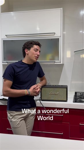 Louis Armstrong - What a Wonderful World Cover